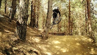 Enjoy the ride - Orbea Rallon R3