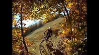 Whiteface Golden