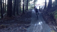 Top of Stream trail @Davagh forest