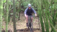 Beeline Drop Crash Fail