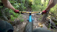 shredding zee loamy goodness