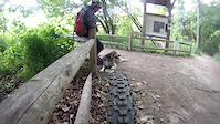 Riding with the Dog