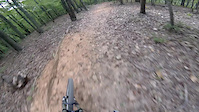 Birthday Huck to Treetap Backflip