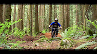 The Flux Lines Shred