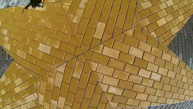 Must Watch Video