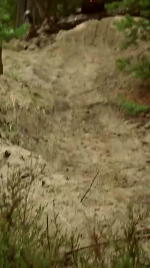 Must Watch Video