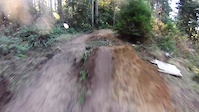 arcata community forest, humboldt dh trail