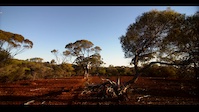 Lake Giles Singletrack