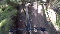 Treasure Trail - Maximum Gnar