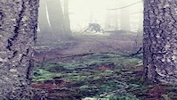 Runaround with dense fog