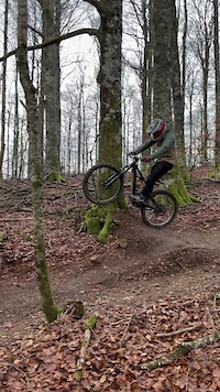 Tree jump