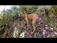 Must Watch Video