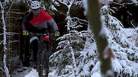 Fresh trail