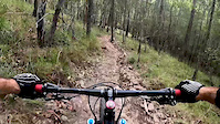Qorona DH Gold Coast Qld