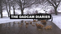 THE SLEEPY MONTHS - THE DADCAM DIARIES