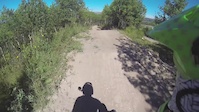 Safari headcam