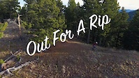 Out For A Rip