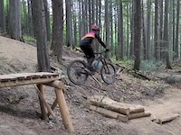 I fought the wood and the wood won
