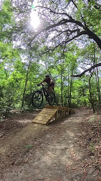 Wood drop at Thomson Trail