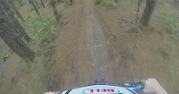 Woodhill SPCA Run