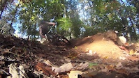 Quick Dead Pine clips