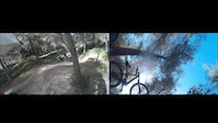 Neve Shalom Nosedive Crash