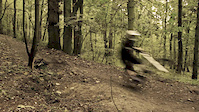 arko trailer