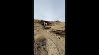 Must Watch Video