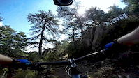 Corsican ride, Ospedale forest