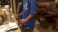 video
